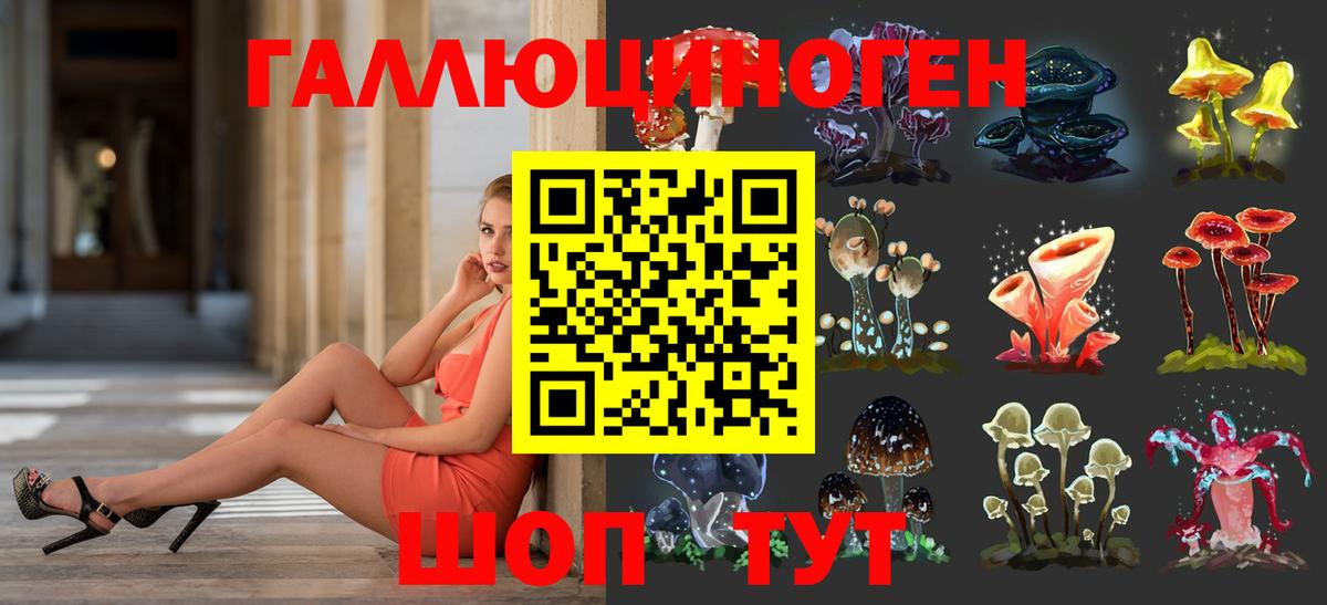 Галлюциногенные грибы Psilocybe Элиста