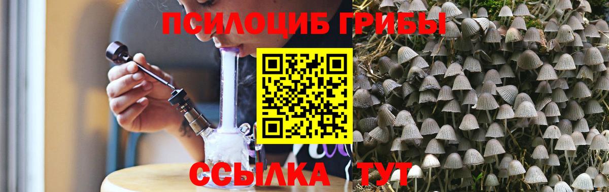 Галлюциногенные грибы ЛСД  Вход с VPN  Элиста 