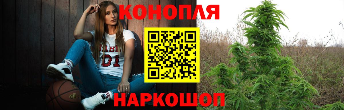 МАРИХУАНА конопля Элиста